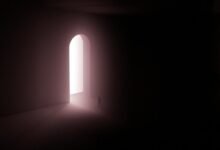 digital exploration journey unfolds