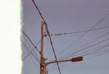 fast customer support line