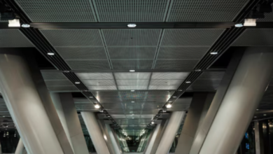 Purchase Roof Light UK: A Complete Guide for Homeowners and Designers