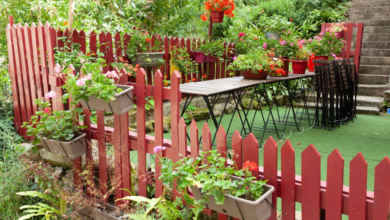 Artificial Lawn Las Vegas: The Perfect Solution for Desert Landscaping