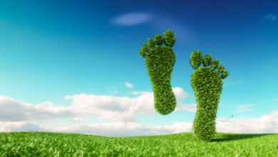 Reduce Your Carbon Footprint With Clean Energy
