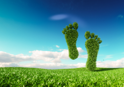 Reduce Your Carbon Footprint With Clean Energy