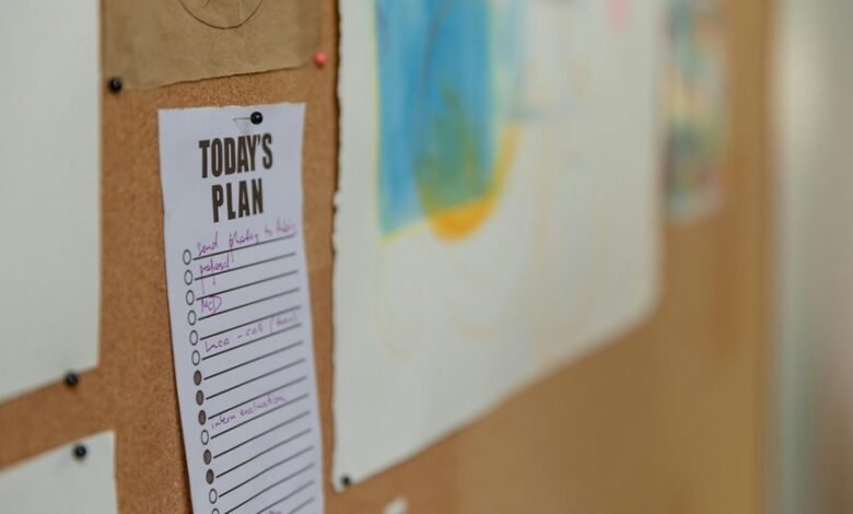 customs office information summary