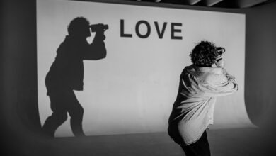 profile summary overview provided