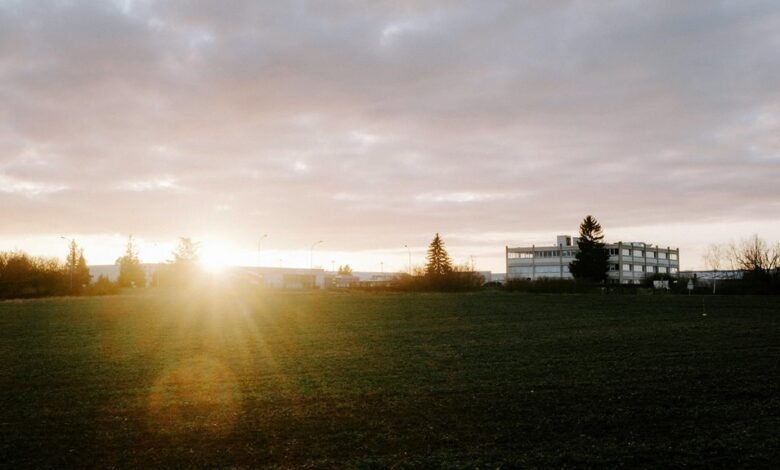 business growth and competitiveness