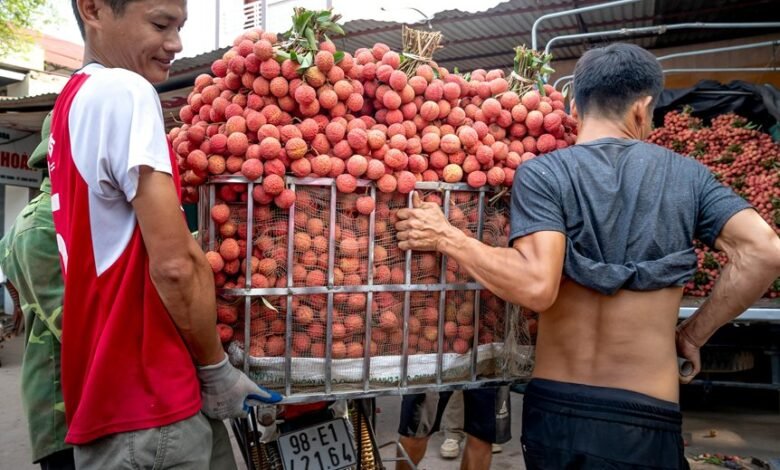 market authority smart lift