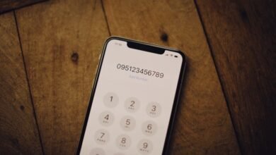 phone number 6196433443 details